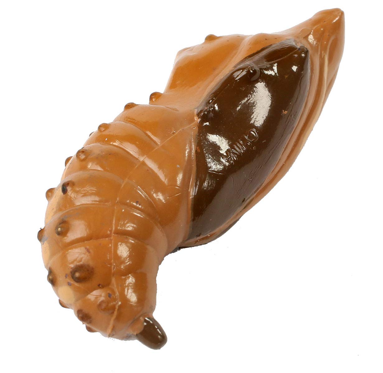 Insect Lore Butterfly Learning Toy - 4 Piece Set Shows Metamorphasis Of A Butterfly