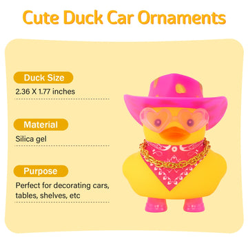 wonuu Cute Ducky in Shoes, Car Dashboard Decorations Pink Cowboy Hat Rubber Ducks, Duck for Car Ornament Accessories with Hat, G