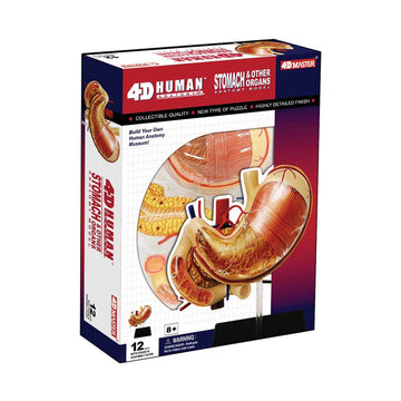 4D Human Anatomy - Stomach And Other Organs