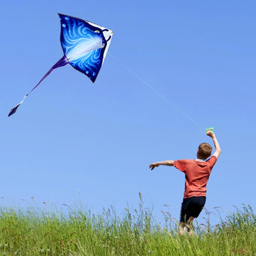 Mint'S Colorful Life 2 Pack Devil Fish Kite For Kids Adults,Easy To Fly Delta Kite Single Line Large, Kite Handle Include (Blue&Green)