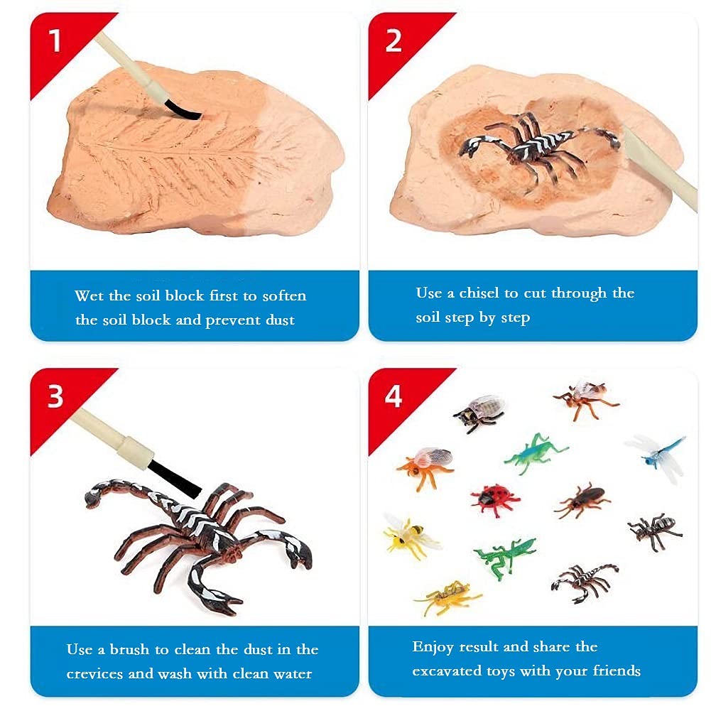 Trade Big Bug Fossil Dig Kit - Stem Science & Educational Toys -Dig Up 12 Real Bugs Fly Ant Scorpion Lady Beetle Locust Cockroac