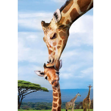 Eurographics Giraffes (Save Our Planet) 250-Piece Puzzle