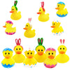 The Dreidel Company Happy Easter Rubber Duck Toy Bunny Rabbit Duckies For Kids Easter Eggs, Bath Birthday Gifts Baby Showers Summer Beach And Pool Activity, 2' (6 Pack)