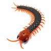 Tipmant Simulation RC Centipede Scolopendra Realistic Remote Control Vehicle Car Animal Insect Large Size Electric Prank Toy Kid