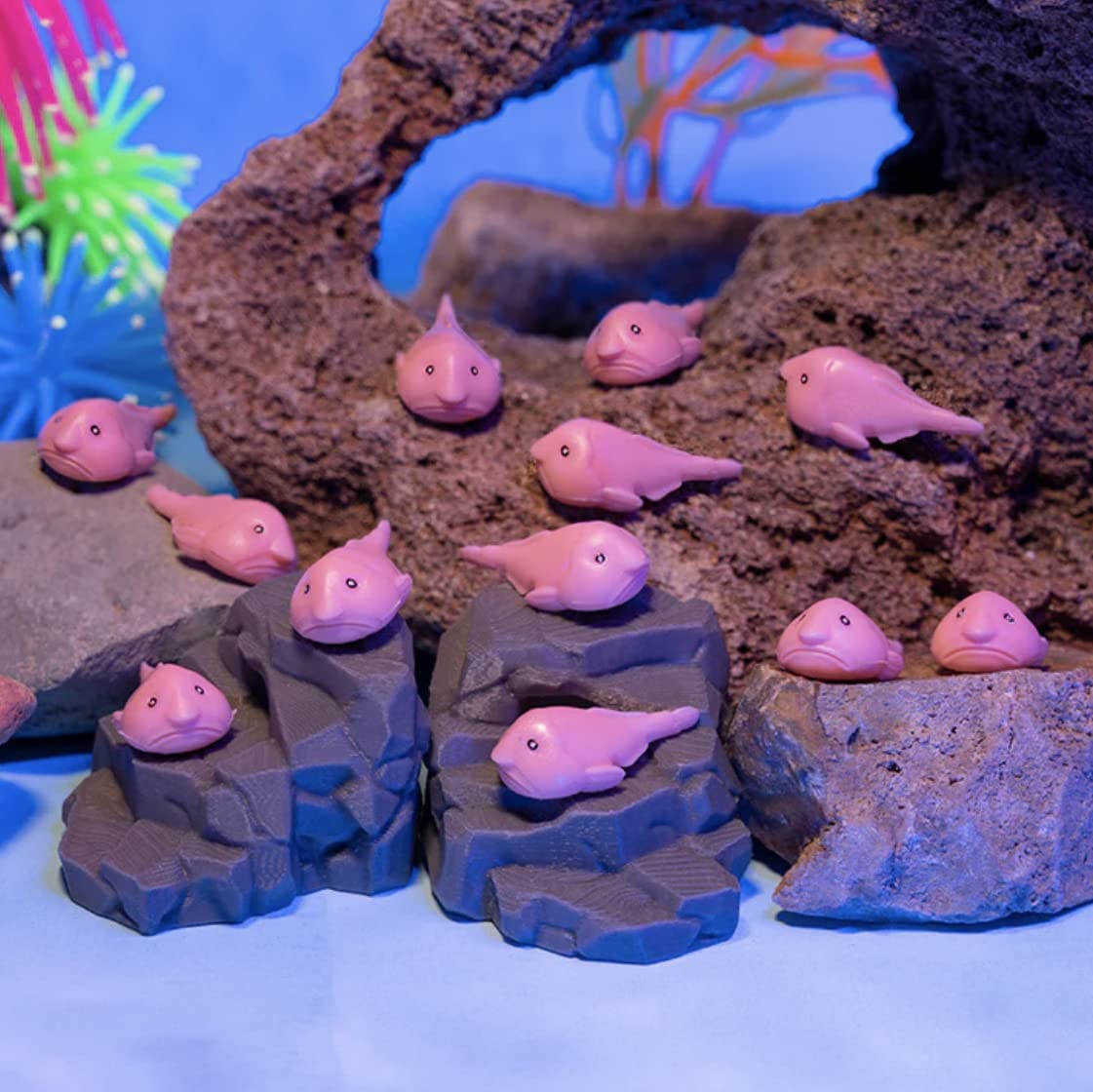 Accoutrements Archie Mcphee Itty Bitty Blobfish 12 Pack