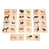 Tickit - 73406 Domestic Animal Family Match - Set Of 28 - Real Pictures - Animal Memory Game With Parents And Babies - Animal Ma