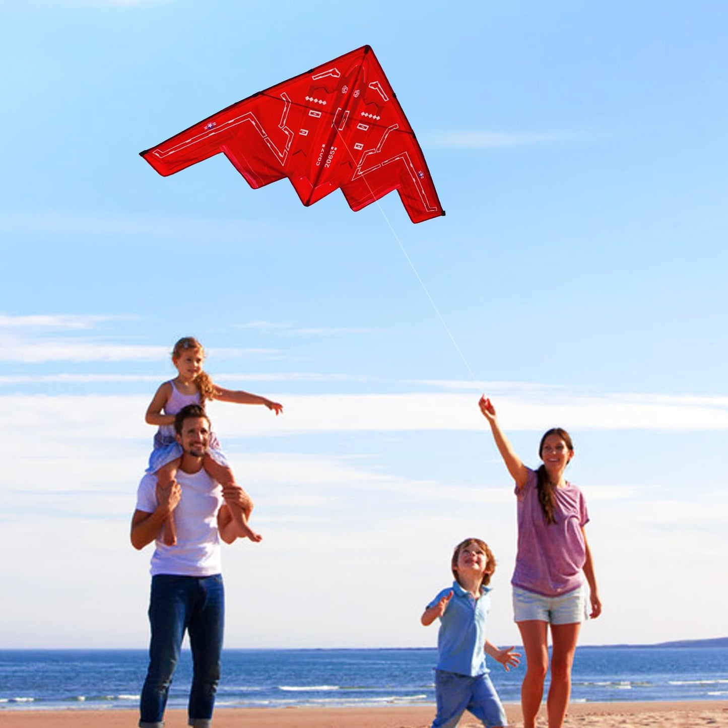 HENGDA KITE Aircraft Kite,for Kids and Adults,Easy to Fly,Excellent Fabric and Structure Design,The Pictures are Beautiful in hi