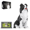 HJPLPXH Animal Dog Adorable Pet Collie Building Block Set - Secret Small Storage Box Inside! Ideal Toy for Dog Lovers Kids & mature-themeds.