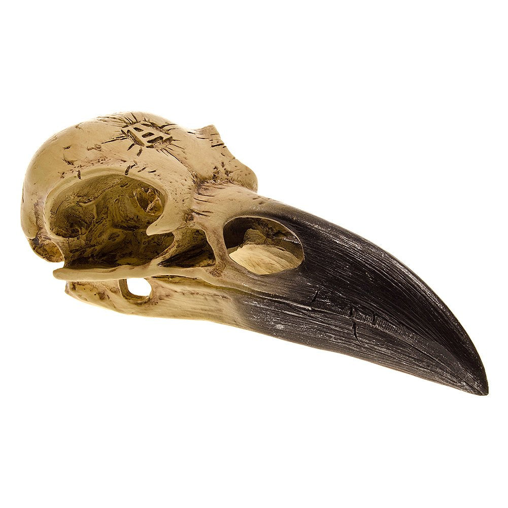 Alchemy Corvus Alchemica Raven Skull
