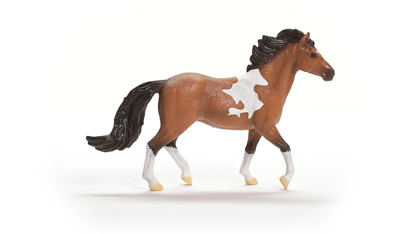 Schleich Horse Club New 2024 Horse Animal Toy Mangalarga Marchador Stallion Horse Figurine