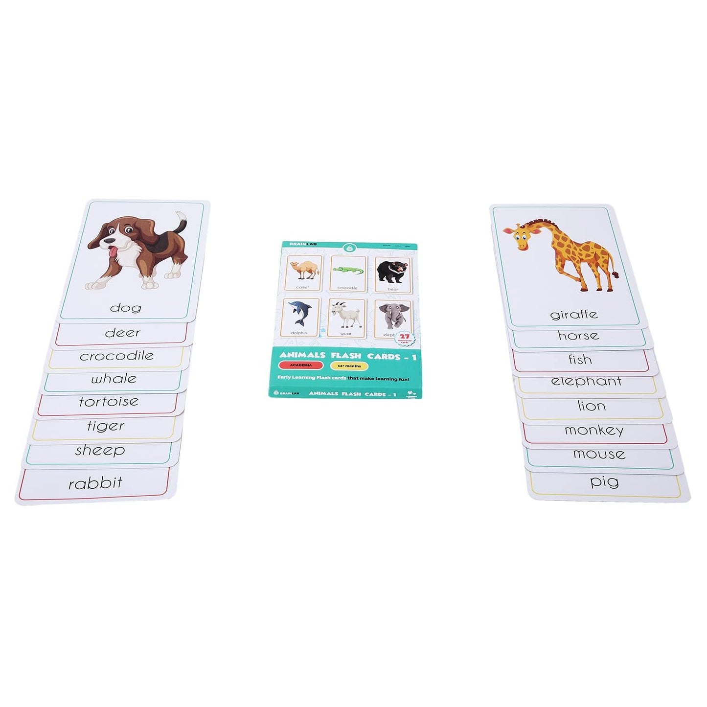 The Brain Lab Early Learning Animal Flash Cards, Illustrated Cards, Educational Learning Set For 12+ Months, Multicolor Paper Ca