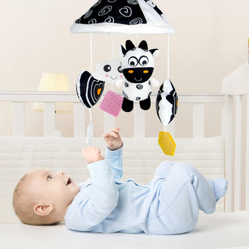 Kakiblin Black And White High Contrast Baby Toys,Car Seat Toys For Newborn,Hanging Baby Toy, Stroller Toy For 0 3 6 12 Months(13