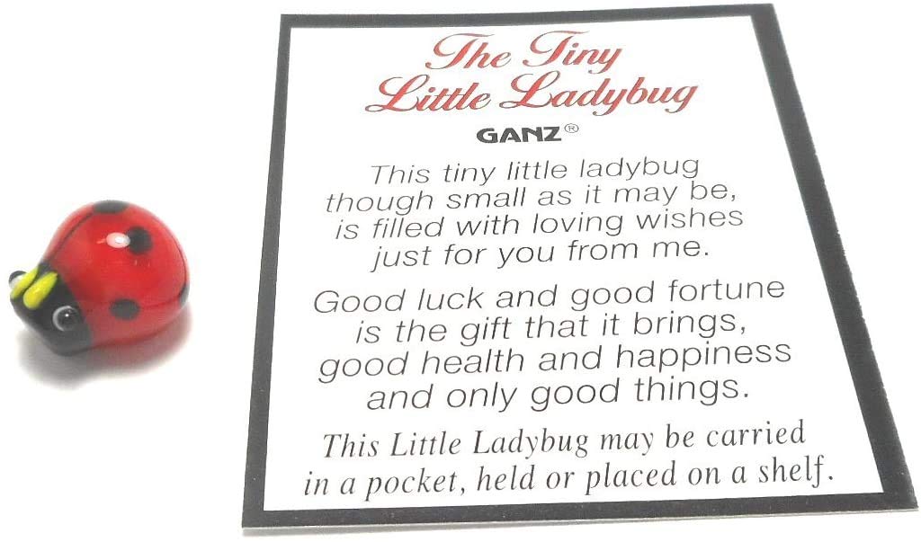 Tiny Little Ladybug Glass Charm With Story Card New Pocket Token