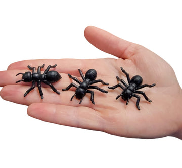 Large 1.5'' Black Carpenter Ant Toys (144 Pack) Plastic. Realistic Looking Ants. Prank, Props, Cake, Cupcake Decor And More! (14