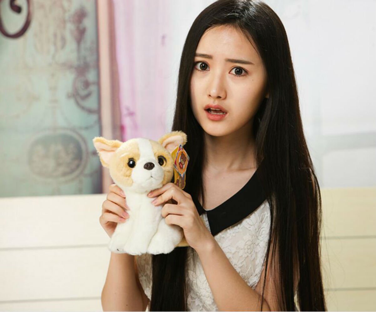 Cute Rabbit 9 Inch Chihuahua Plush Toy Stuffed Animal Toy Plush Animal Doll