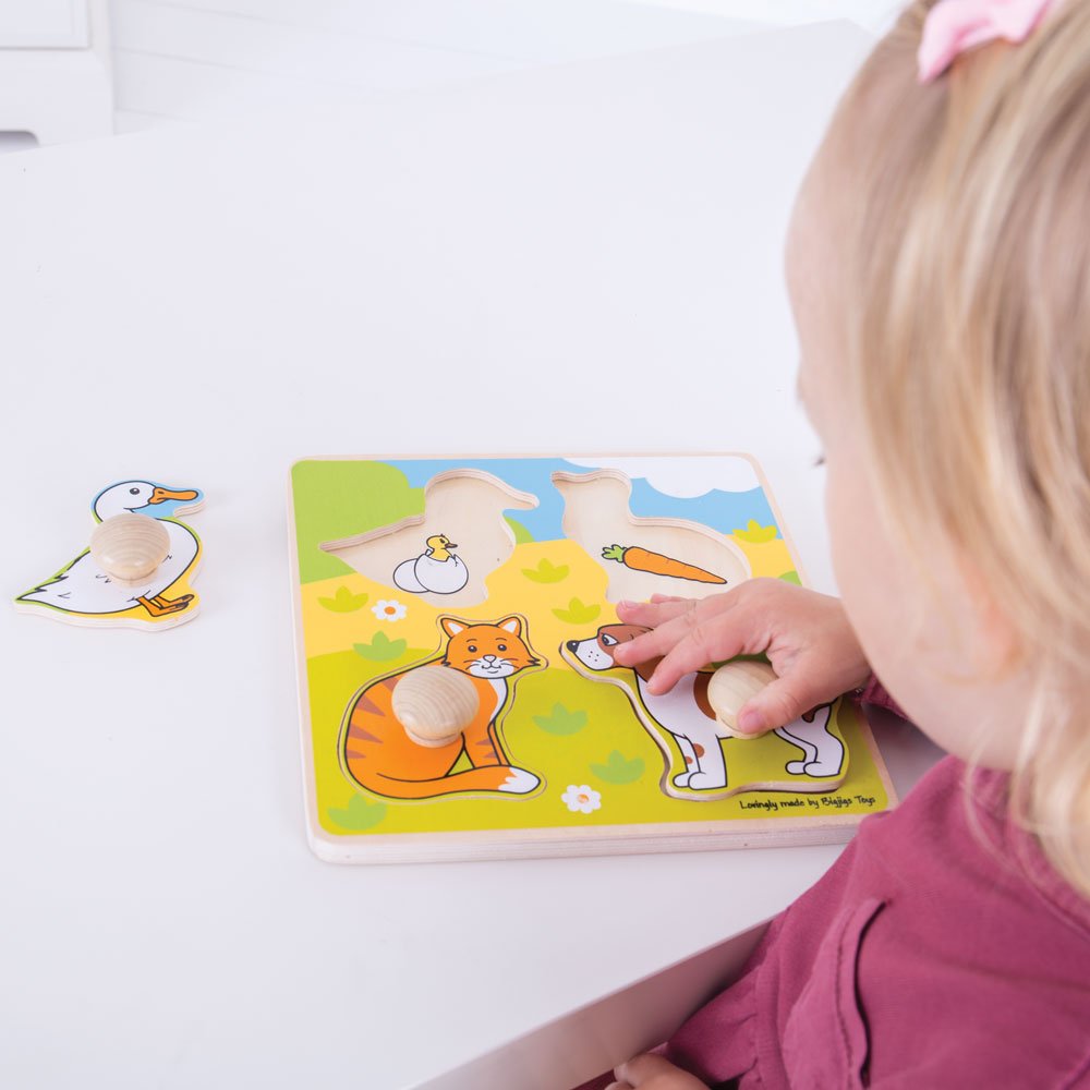 Bigjigs Toys Wooden Peg Puzzle Pets - Quality Peg Puzzle For 1 Year Old, Fine Motor Skills Toys For Babies & Toddlers, First Animal Jigsaw Puzzle