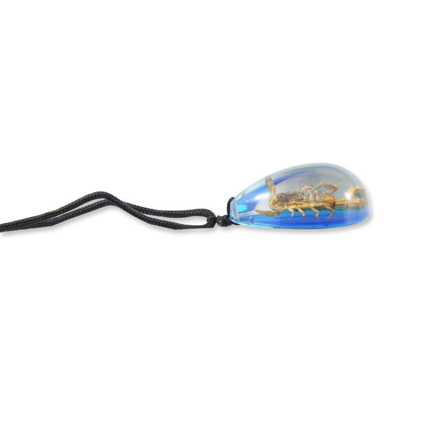 REALBUG Gold Scorpion Necklace, Blue, large