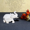 Handicrafts Paradise Trunk Up Elephant Wm15024