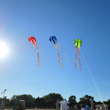3 Pack Octopus Kites for Kids & Adults, Large Soft 3D Beach Easy to Fly for Boys&Girls (Red, Green & Blue)