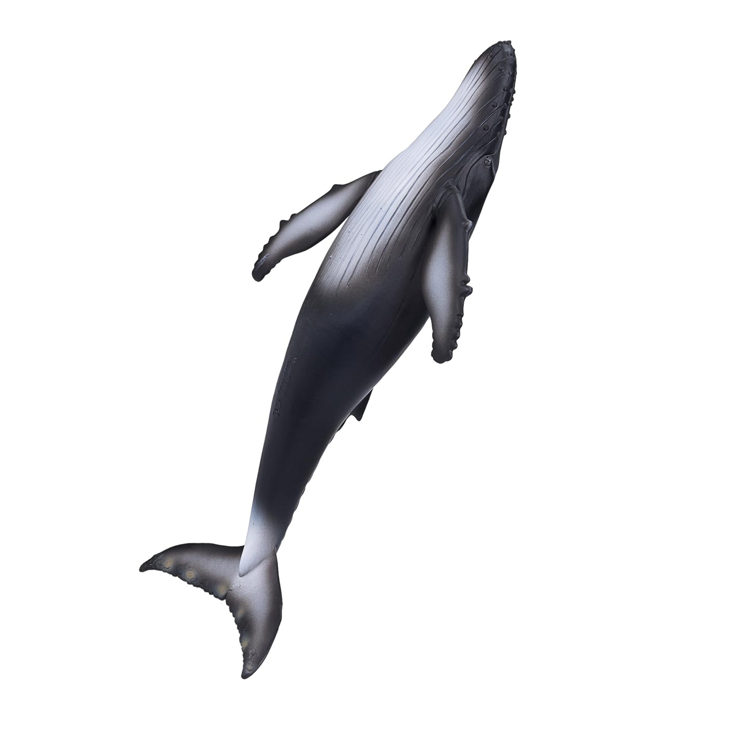 Mojo Humpback Whale Realistic International Wildlife Hand Painted Toy Figurine