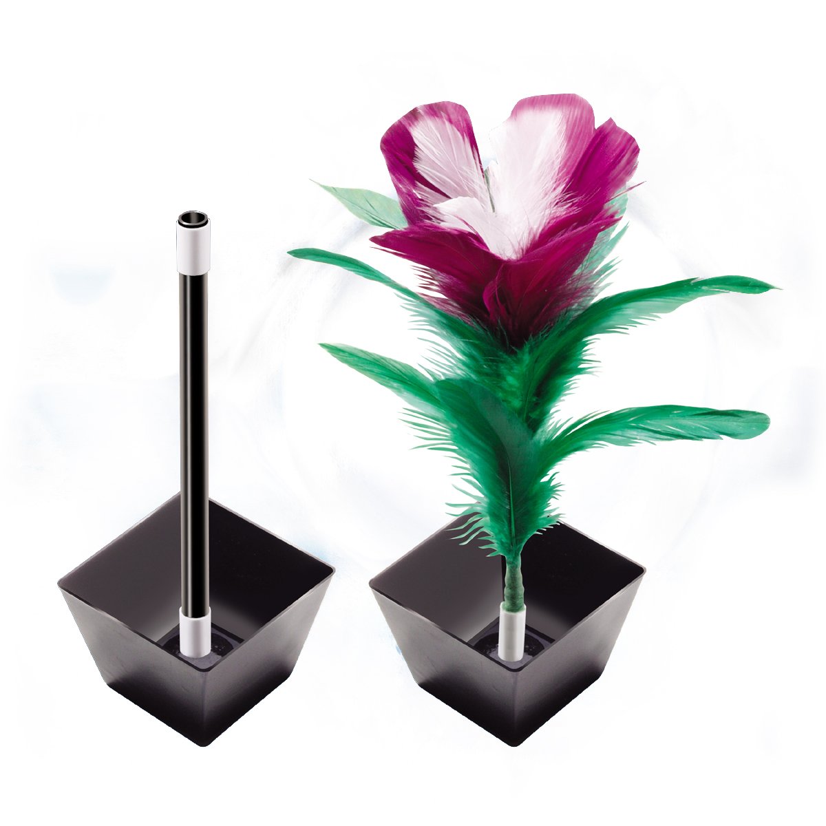 Loftus Appearing Flower