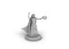 Female Elf Druid 2 Tabletop Dnd Gaming Miniature