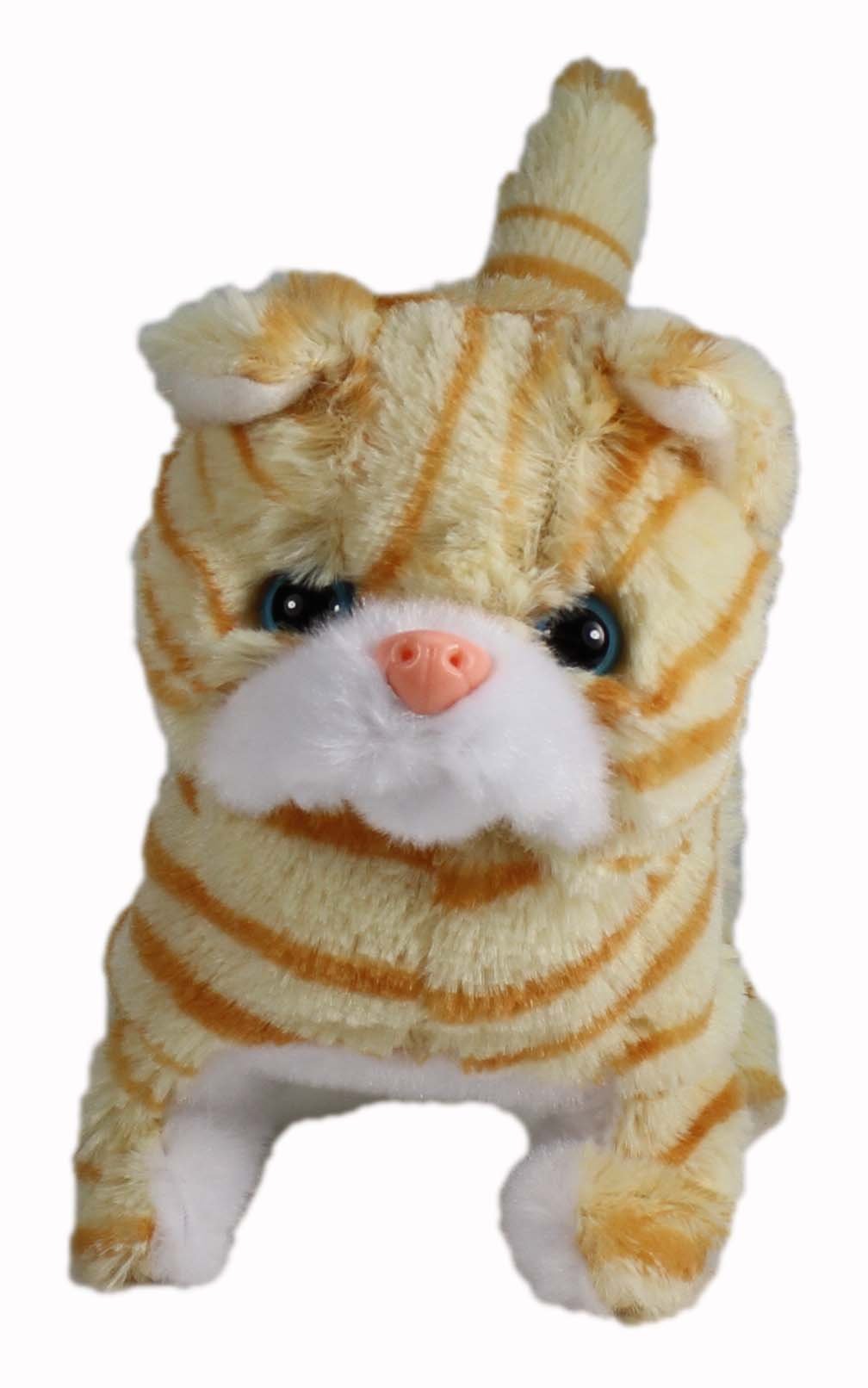 Westminster Casanova The Mechanical Kitten - Orange Striped