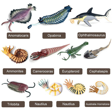RCOMG 11PCS Prehistoric Sea Creatures Toys, Ancient Cambrian Ocean Animal Figurines Plastic Educational Marine Animal Figures fo