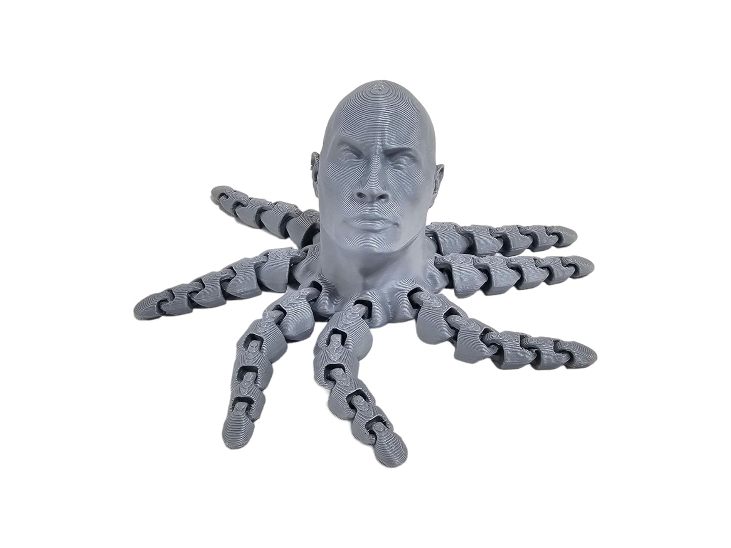 3D Printed Rocktopus, The Rock, Articulated Fidget, Octopus, Stress Relief Toy, Fidget Box, ADHD Toy, Anxiety Relief Aid (Silver