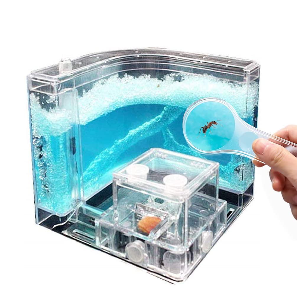 Navadeal Ant Farm Castle Experiment And Toy Allows Study Of Social Structure, Architecture, Ecosystem, And The Behavior Of Ants Within The 3D Maze Of Translucent Gel