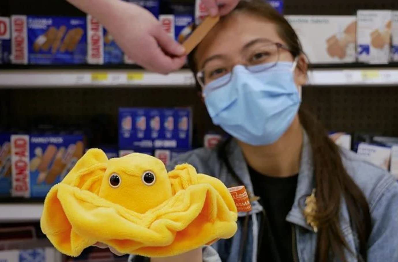 Giantmicrobes Plasma Plush, Blood Cell Plush, Blood Bank Laboratory Gifts, Lab Tech Gifts, Hematology Gifts, Leukemia Gifts, Phl