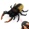 Tipmant RC Beetle Remote Control Insects Realistic Electronic Simulation Climber Animal Prank Toy Vehicle Kids Birthday Gifts (Y