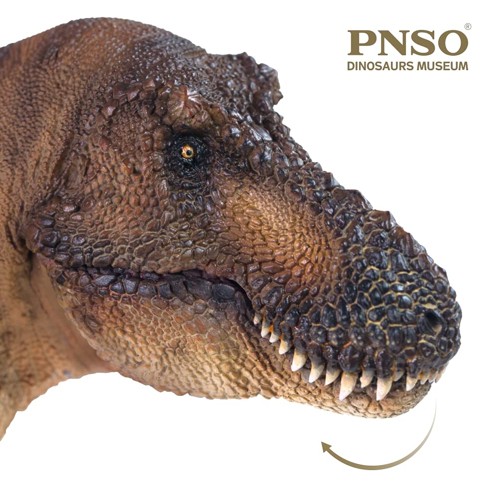Pnso Dinosaur Museums Series (Andrea The Tyrannosaurus Rex 1:35 Scientific Art Model)