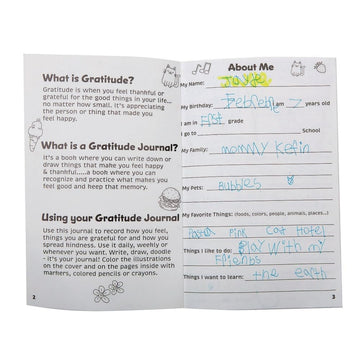 S&S Worldwide Kid'S Gratitude Journal Class Pack. Undated, 100-Pgs, Daily Prompts, Cover To Color, Inspiring Quotes, For Self-Es