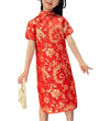 Girls Chinese Qipao Dress Dragon Pattern Short Sleeve Cheongsam Costume for Birthday Party Wedding (US, Age, 6 Years, 7 Years, R