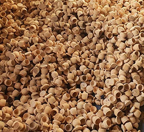 Fifty(50) Olive Wood Communion Cups 1.75'' From Bethlehem