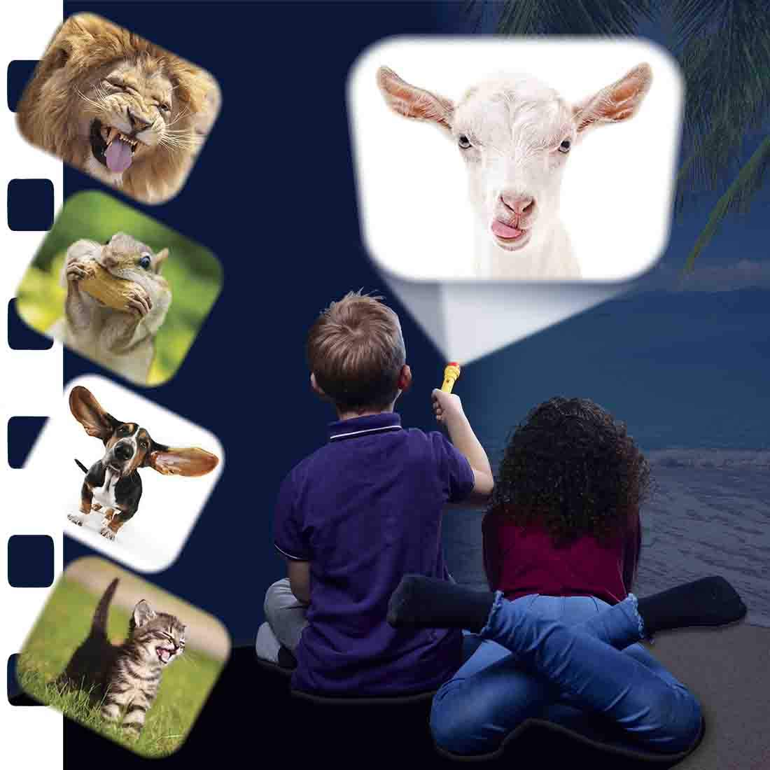 Brainstorm Toys Funny Animals Torch & Projector