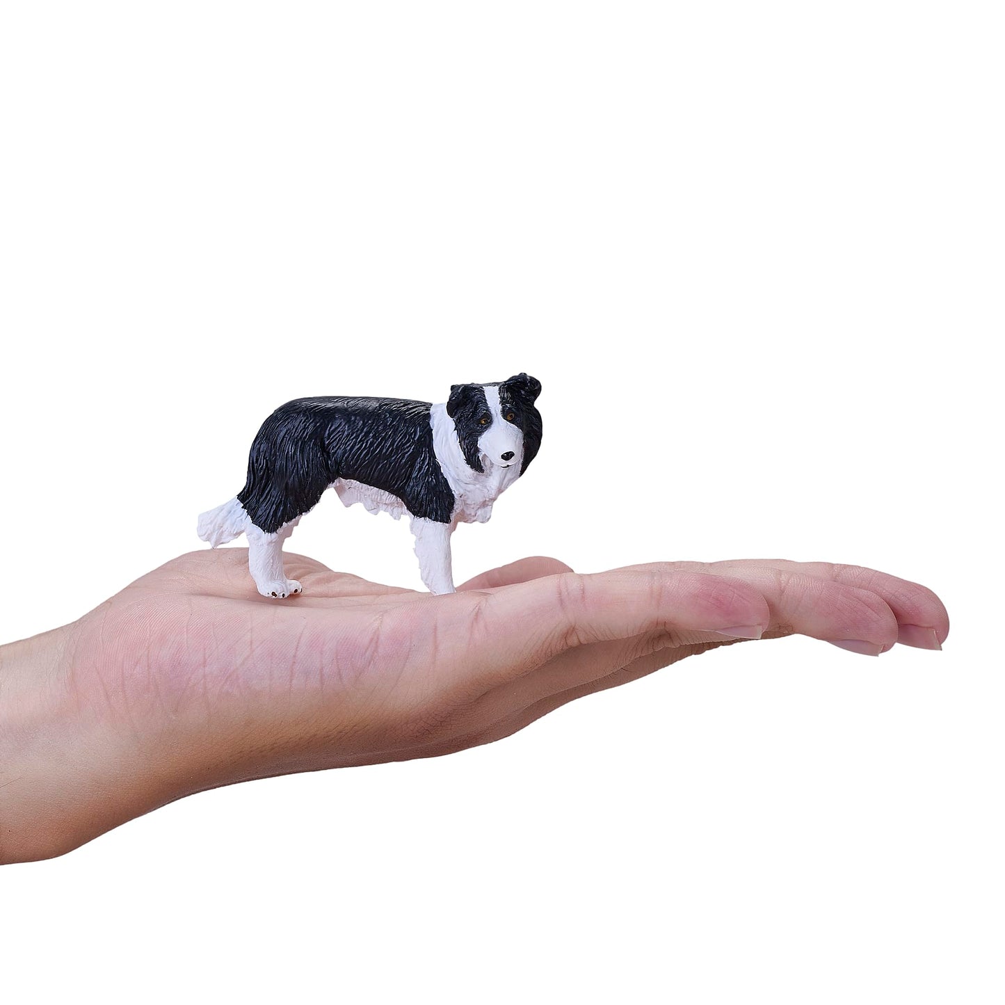 Mojo Border Collie Realistic Domesticated Animal Hand Painted Toy Figurine