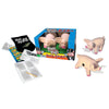 Big Game Toys~Big Pigs Yard & Floor Game Giant Camping Indoor/Outdoor Pass The Pig dice