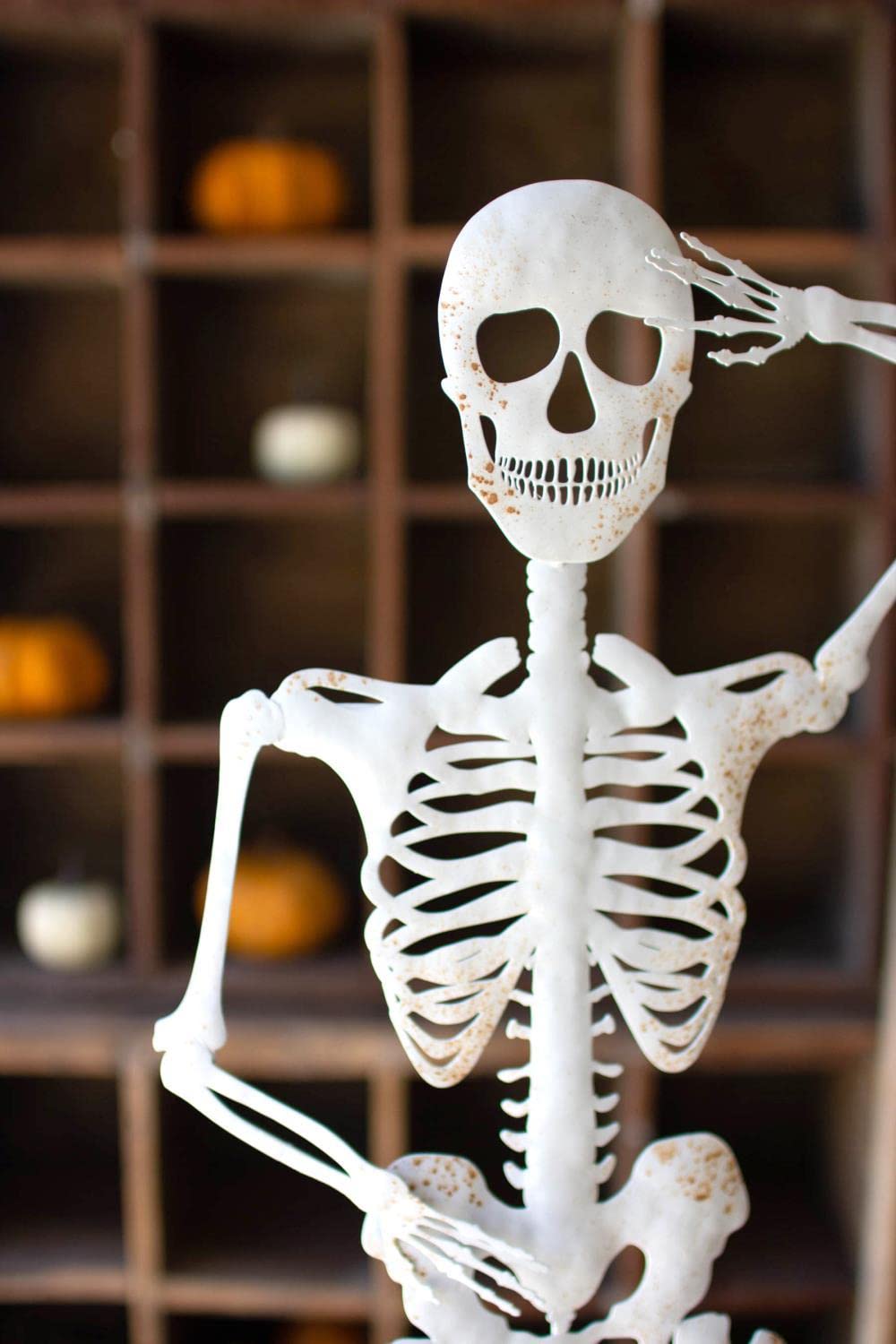 Rustic White Metal Skeleton On A Stand