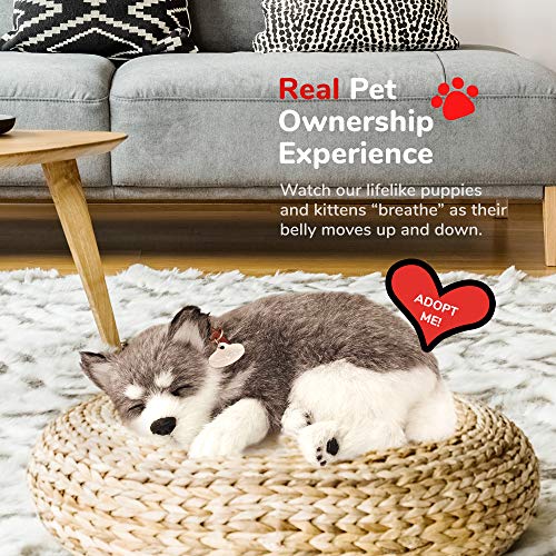 Perfect Petzzz - Original Petzzz Alaskan Husky, Realistic Lifelike Stuffed Interactive Pet Toy, Companion Pet Dog With 100% Handcrafted Synthetic Fur