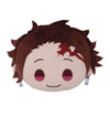 Demon Slayer: Kimetsu No Yaiba - Tanjiro Kamado Pm Interior Cushion