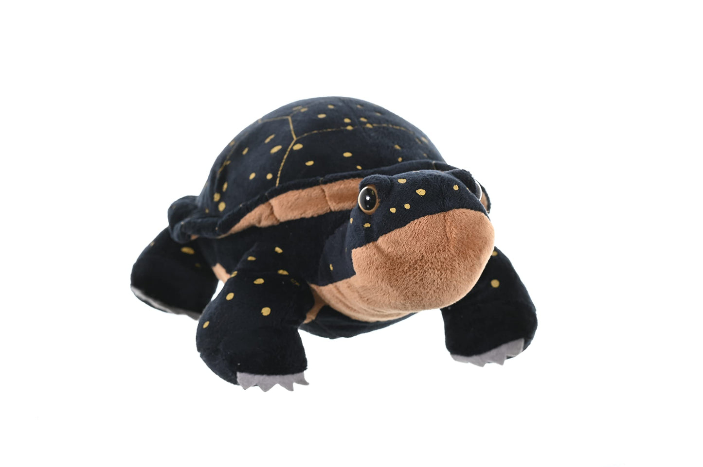 WILD REPUBLIC Spotted Turtle Plush Toy, 12 inches, Soft Polyester Stuffed Animal, Model 19420, Perfect Gift for Kids