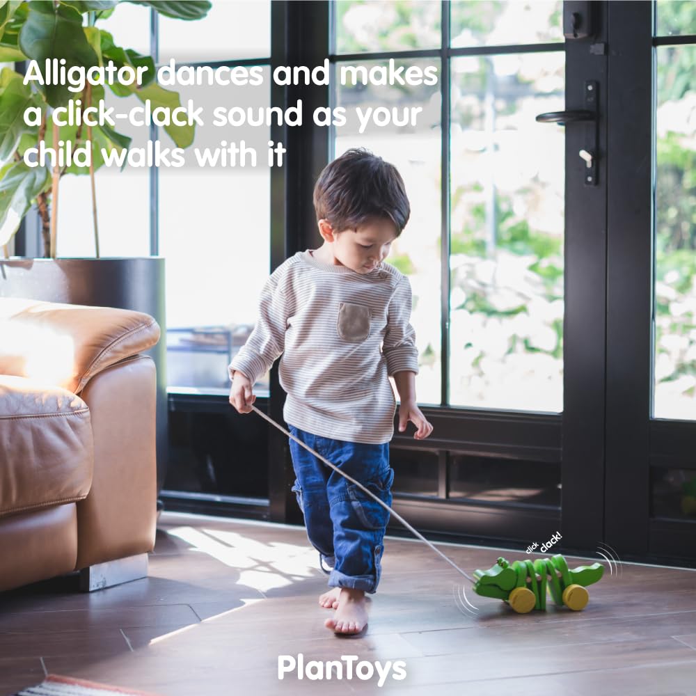 Plantoys Pull Along Hedgehog - Blue (5275)