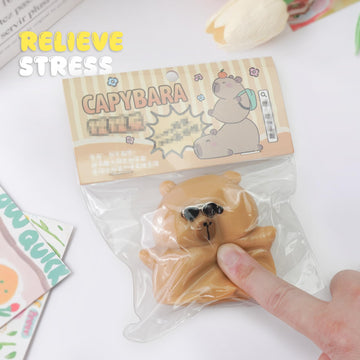 Taba Squishy Toys Cat Paw Cute Kawaii Squeeze Toys Sticky Squishy Fidget Toys Silicone Squeeze Toy for Stress Relief Cute Soft Toys Best Gift for Anniversary (Capybara)