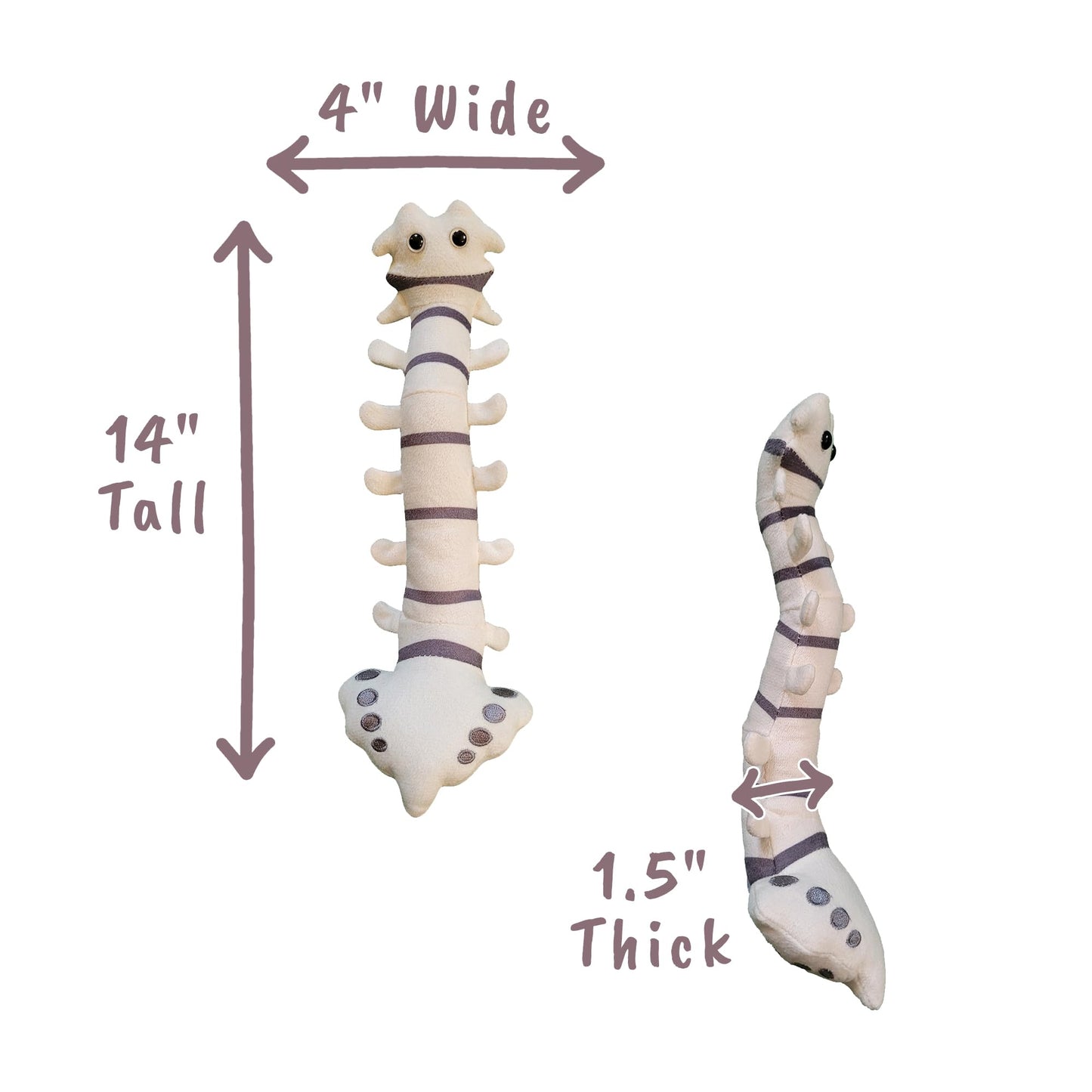 GIANTmicrobes Spine Plush - Funny Back Surgery Recovery Gift, Neurology & Chiropractor Model, White Spine Surgeon Toy