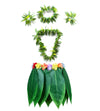 Hawaiian Hula Leaf Grass Skirt Necklaces Bracelets Headband Luau Party Supplies (5Pcs) Green