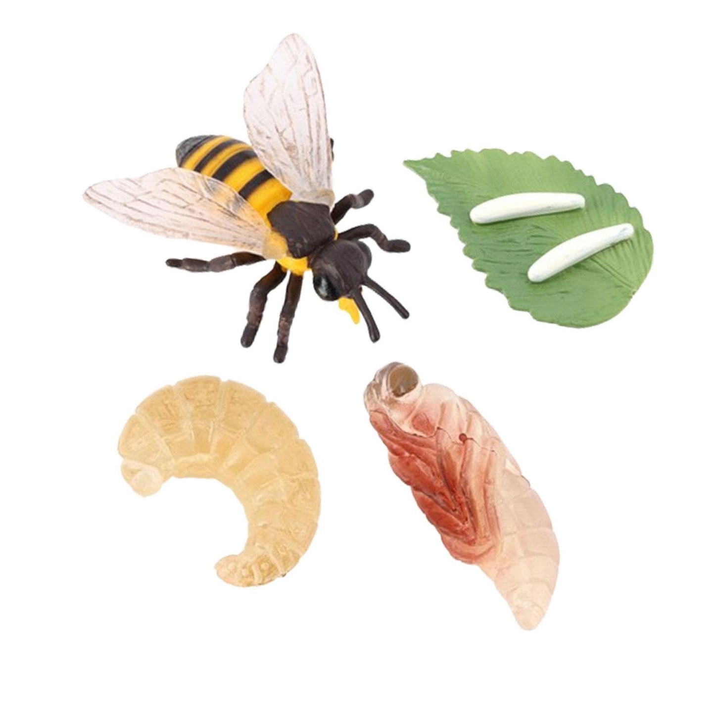 Bnf Life Cycle Of Bee Toys Teaching Materials Puzzle Animal Growth Cycle Set Gamebaby | Toys For Baby | Developmental Baby Toys1