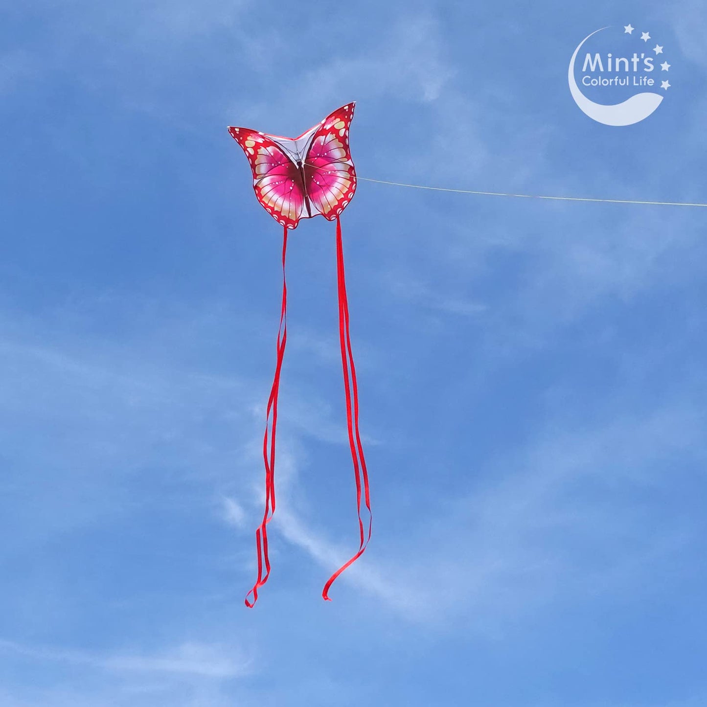Butterfly Kite