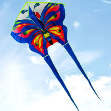 Dingbear 1pcs Simple Flying Kite, Butterfly Kite, Suitable for Children, Outdoor Games and Beach Park Activities